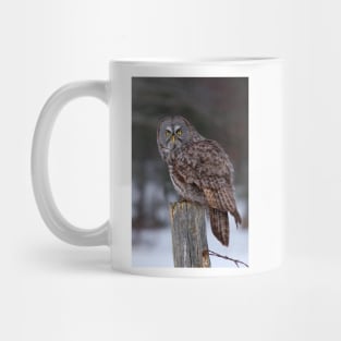 Piss Off! - Great Grey Owl Mug